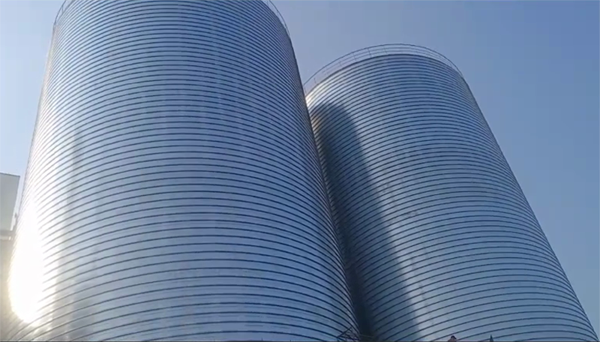 湟中2座混凝土高架卷板仓